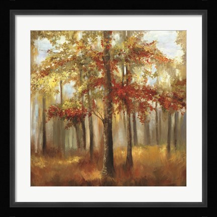 Framed Soft Light Print