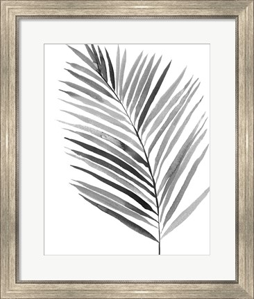 Framed BW Palm IV Print