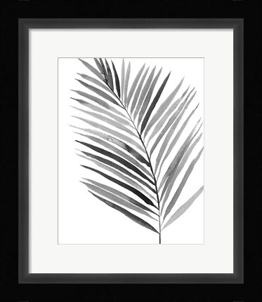 Framed BW Palm IV Print