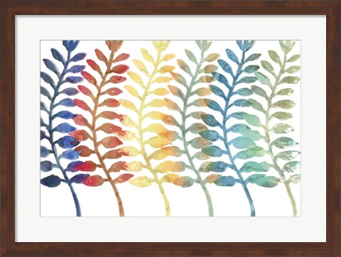 Framed Fresh Ferns Print