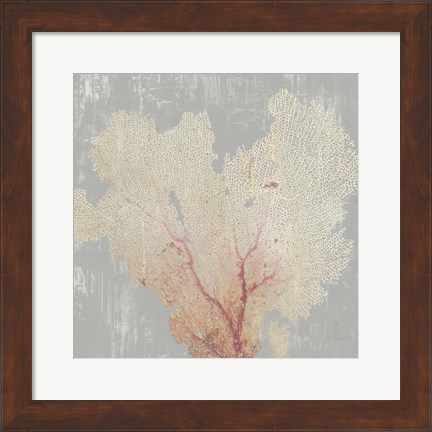 Framed Blush Coral I Print