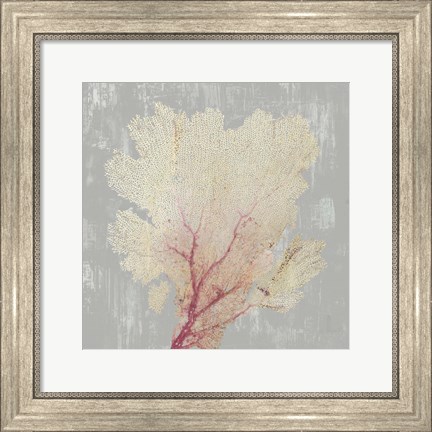 Framed Blush Coral II Print