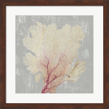 Framed Blush Coral II Print