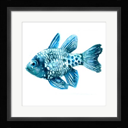 Framed Fish II Print