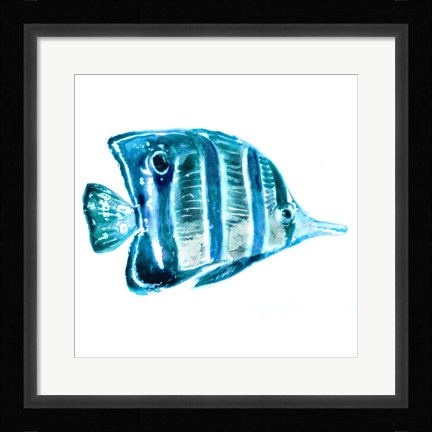 Framed Fish III Print