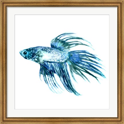 Framed Fish IV Print