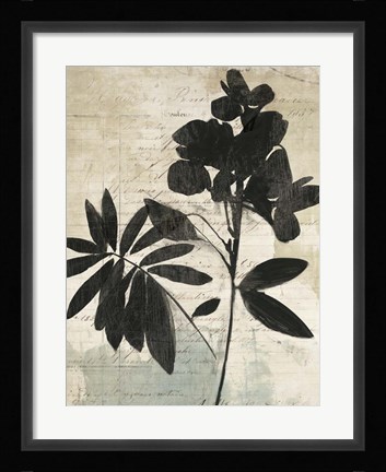 Framed Inky Floral II Print