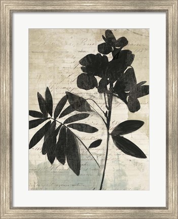 Framed Inky Floral II Print