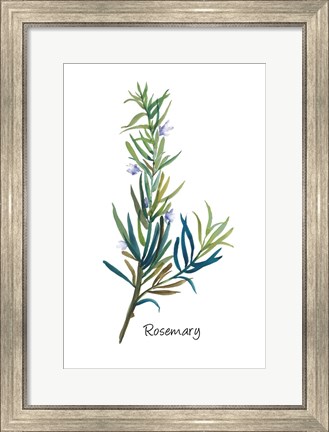 Framed Rosemary I Print