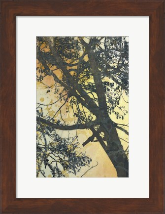 Framed Bubbly Branches Print