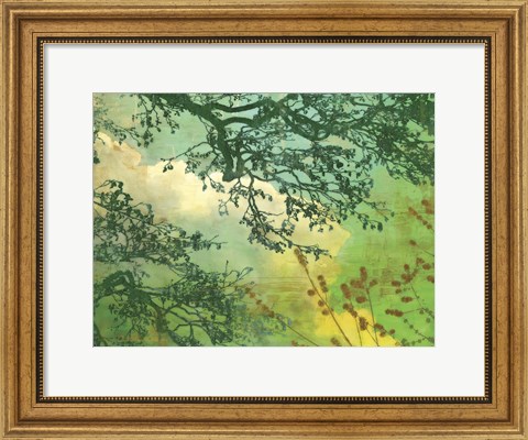 Framed Branches and Clouds Print