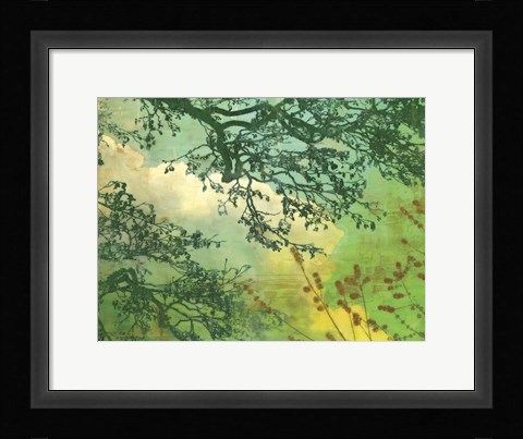 Framed Branches and Clouds Print