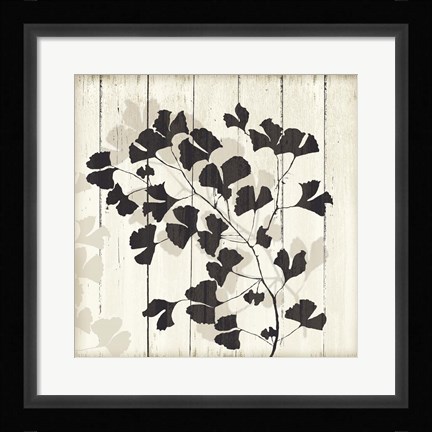 Framed Shadow on Wood I Print