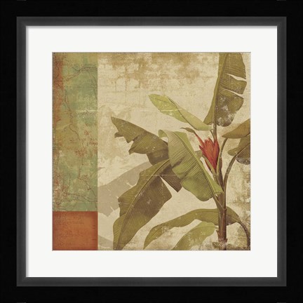 Framed Planta Print