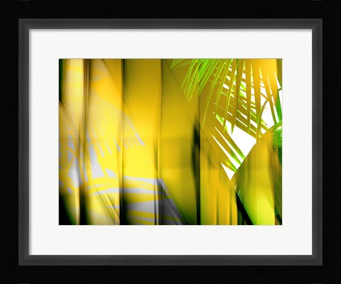 Framed Yellow Shades Print
