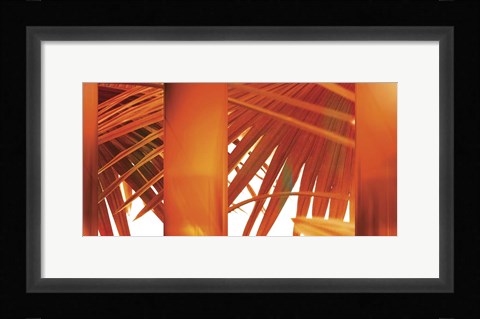 Framed Juicy Print