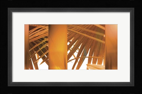 Framed Tangerine Print