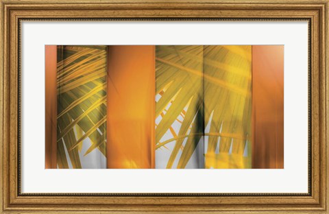 Framed Tangerine and Cream Print