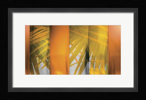 Framed Tangerine and Cream Print