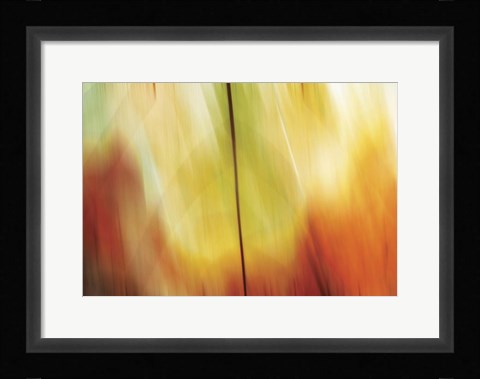 Framed Tie Dye I Print