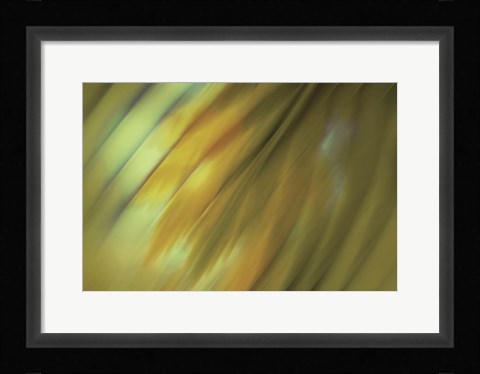 Framed Tie Dye III Print