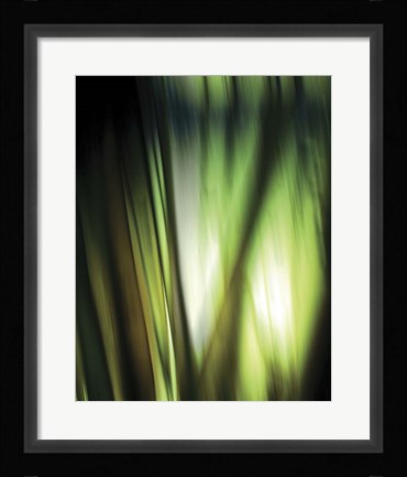 Framed Organic I Print