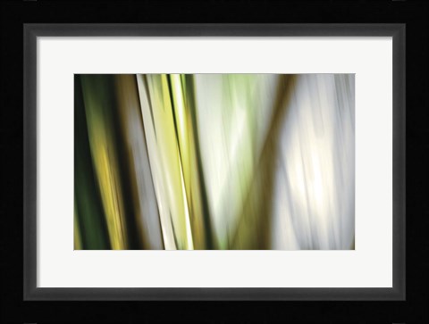 Framed Organic II Print
