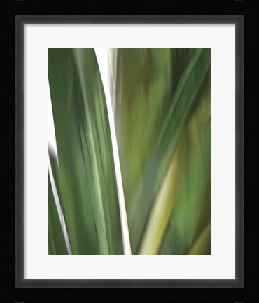 Framed Organic IV Print