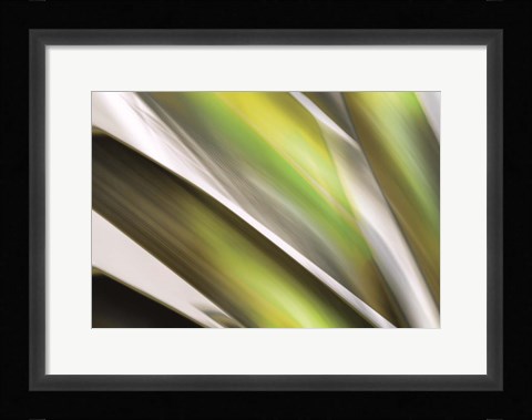 Framed Organic VI Print