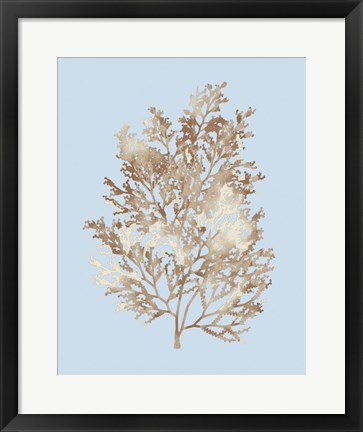 Framed Coral III Print