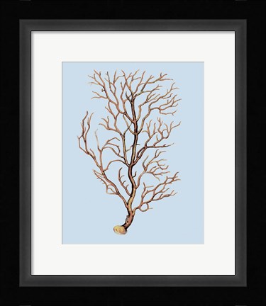 Framed Coral IV Print