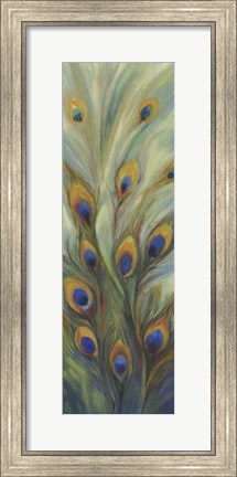 Framed Peacock Tale Print