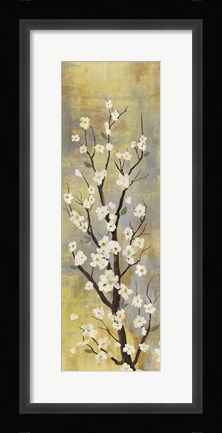 Framed Blossoms II Print
