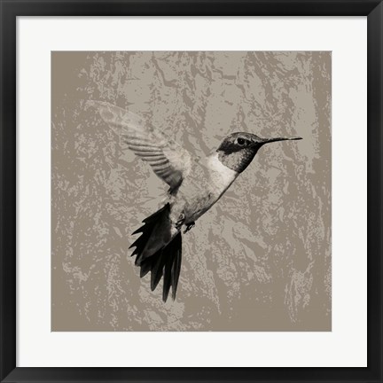 Framed Feathered I Print