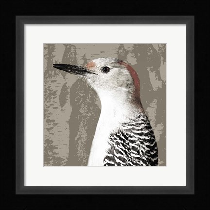 Framed Feathered IV Print