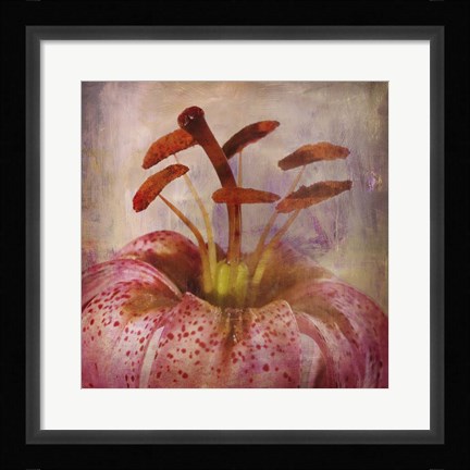 Framed Lovily Lily I Print
