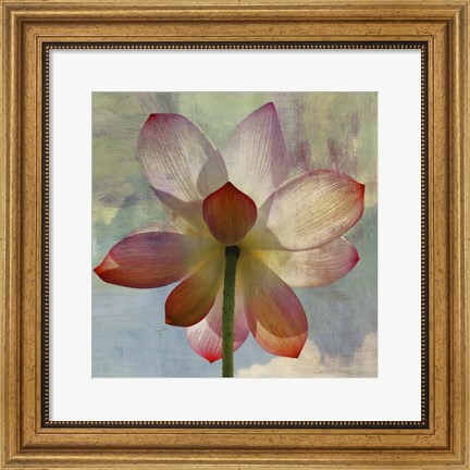 Framed Lovely Lily II Print