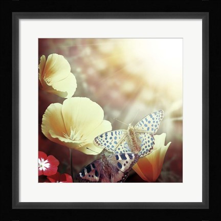 Framed Sunbeam Print