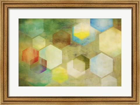 Framed Honeycomb II Print