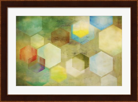 Framed Honeycomb II Print