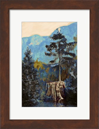 Framed Pine on Blue Print