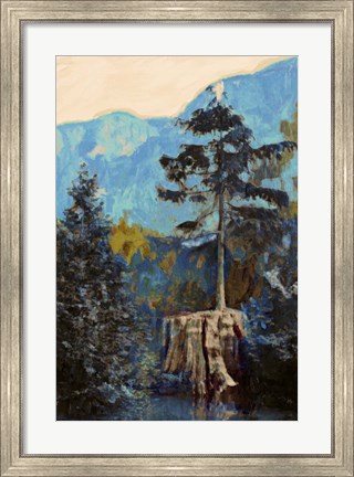 Framed Pine on Blue Print