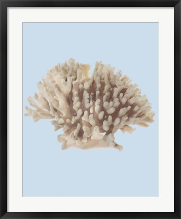 Framed Coral I Print
