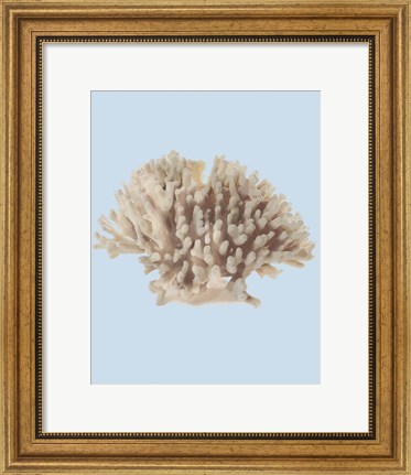 Framed Coral I Print