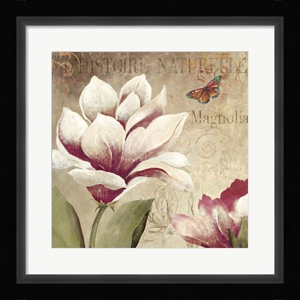 Framed Magnolia Print