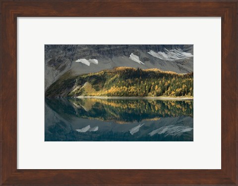 Framed Floe Lake Print