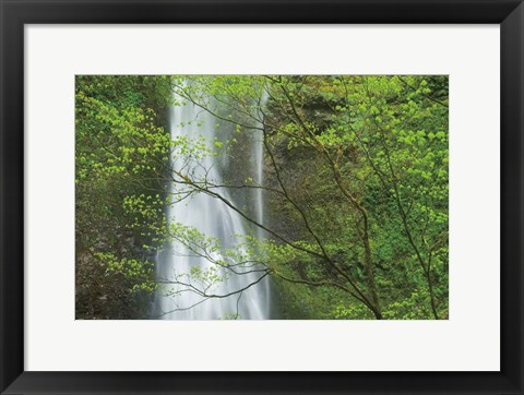 Framed Double Falls II color Print