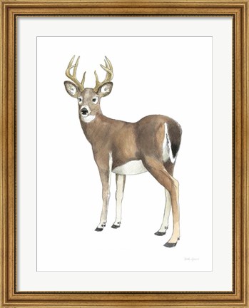 Framed Wilderness Collection Deer II Print