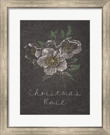 Framed Chalkboard Christmas Greenery III Print