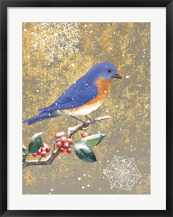 Framed Winter Birds Bluebird Color Print